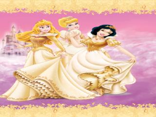 Dagboek Interstat Disney Princess