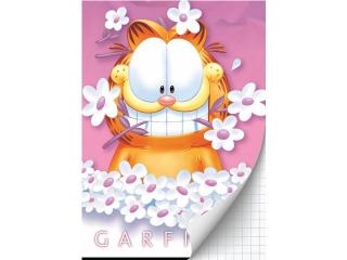 Schrift Garfield girls (A4) ruit