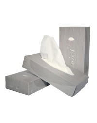 Facial tissue euro products 2l wit 140040