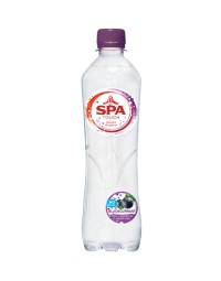 Water spa touch sparkling blackcurrant petfles 500ml