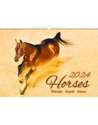 Kalender 2024 helma 365 45x31.5cm paarden