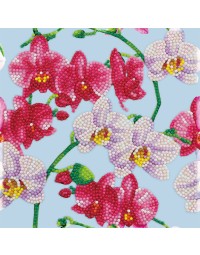 Diamondpainting crystal art kaart watercolor orchids 18x18cm