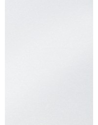 Fotokarton folia 2-zijdig 50x70cm 250gr parelmoer nr00 wit