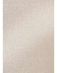 Fotokarton folia 2-zijdig 50x70cm 250gr parelmoer nr43 lichtroze
