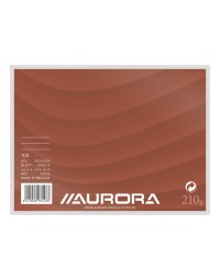 Systeemkaart aurora 200x150mm lijn met rode koplijn 210gr wit