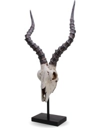 Animal skull - beeld - 61.5 cm