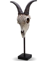 Animal skull - beeld - 45 cm