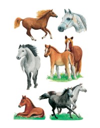 Etiket herma 3553 paarden rassen