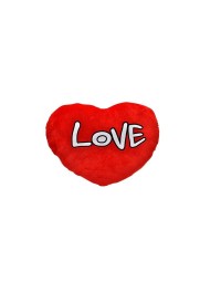 Liefde Valentijns hart rood fluwelen knuffelhart kussen Love 70 cm groot