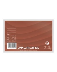 Systeemkaart aurora 150x100mm lijn + rode koplijn 210gr wit 