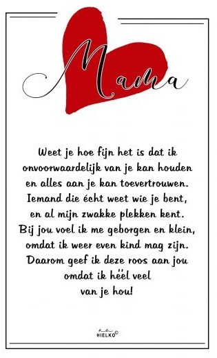 gloeilamp Terminologie Legacy Glazen roos in box met een tekst spiegel Mama.... (23 x 16.5 cm) -  BLOKSHOP.nl
